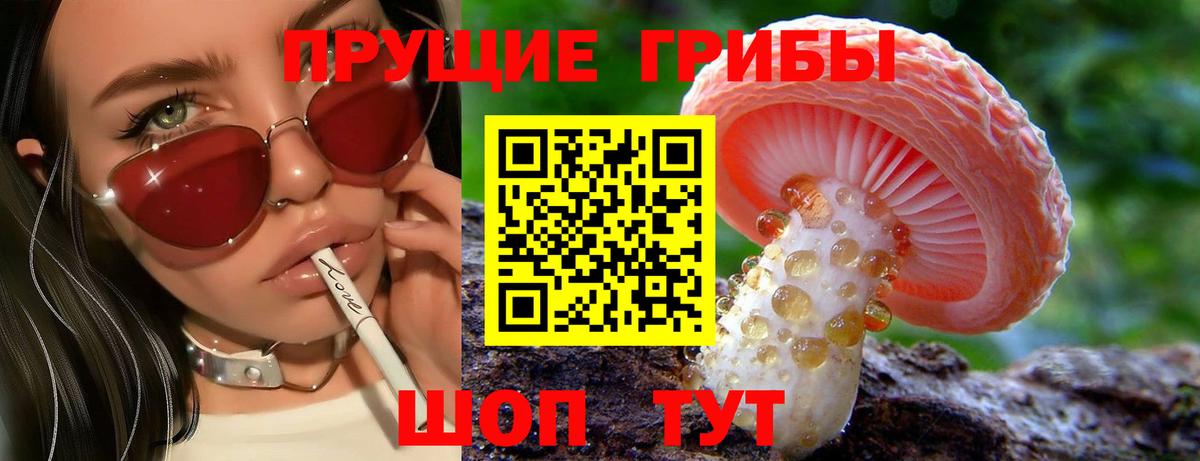 Северск  Псилоцибиновые грибы прущие грибы  Вход с VPN 